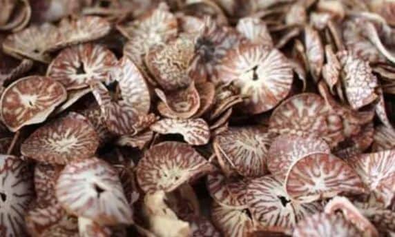 Sclice supari by Swati jadhav Sclice supari - Buy Buyers & Traders Online in India at MahaAgri