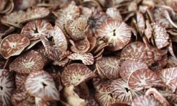 Buy Sclice supari Online - Quality Agricultural Products Sclice supari - Buyers & Traders | MahaAgri.AI