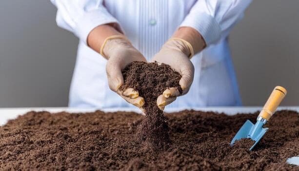 Buy organic fertilizers Online - Quality Agricultural Products organic fertilizers - Fertilizers | MahaAgri.AI