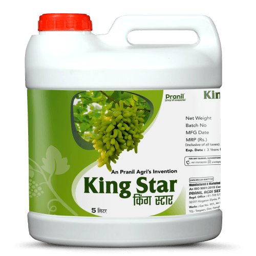 Buy KINGSTAR - 5 LITER Online - Quality Agricultural Products KINGSTAR - 5 LITER - Fertilizers | MahaAgri.AI