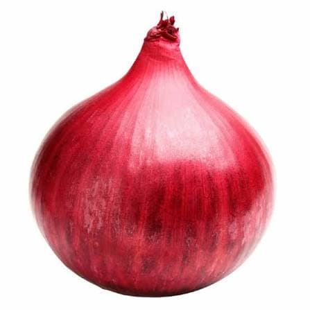 Onion