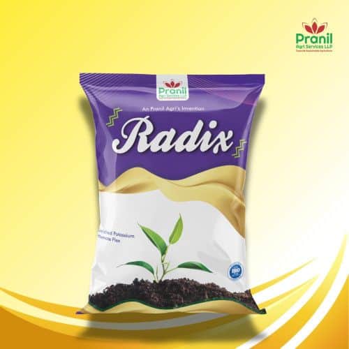 RADIX - 500 GM by PRANIL AGRI SERVICES LLP RADIX - 500 GM - Buy Fertilizers Online in India at MahaAgri