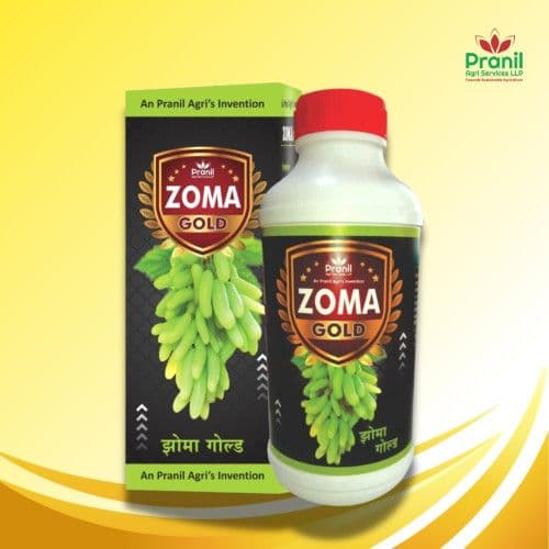Buy ZOMA GOLD - 1 LITER Online - Quality Agricultural Products ZOMA GOLD - 1 LITER - Fertilizers | MahaAgri.AI