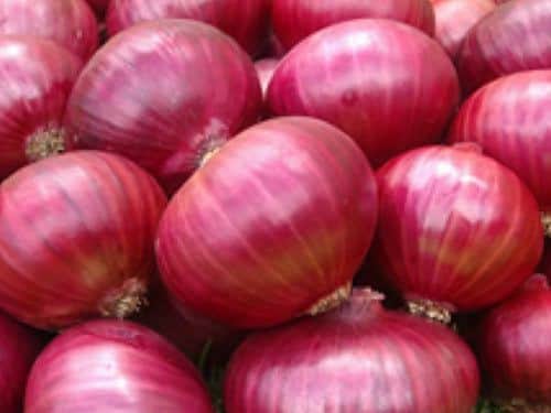 Onion by Vijay Laxman Shinde Onion - Buy Farmers Marketplace Online in India at MahaAgri