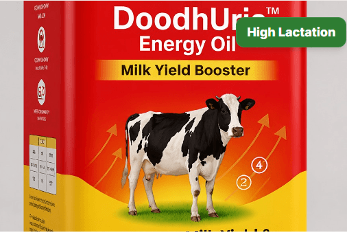 Buy PJ दूधउर्जा मिल्क-फॅट बूस्टर लिक्विड Online - Quality Agricultural Products PJ दूधउर्जा मिल्क-फॅट बूस्टर लिक्विड - Animal Feed Supplement | MahaAgri.AI