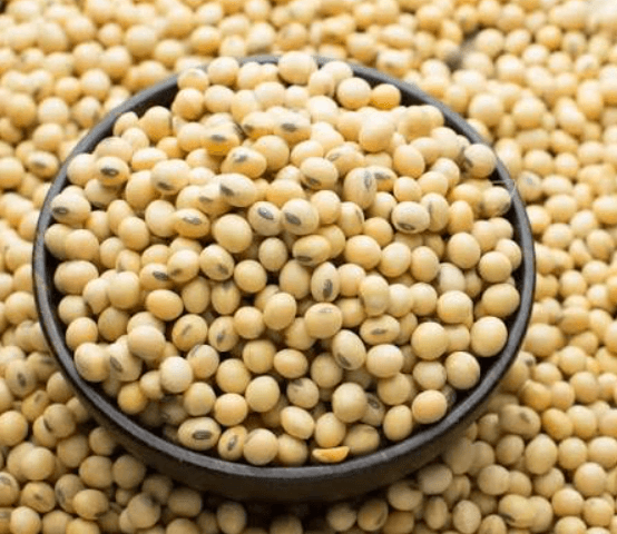 Buy Soyabean Online - Quality Agricultural Products Soyabean - Farmers Marketplace | MahaAgri.AI