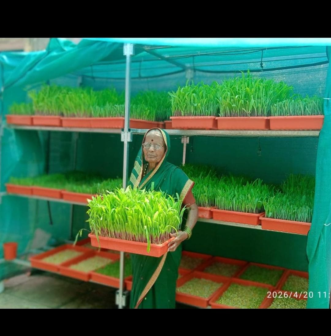 Buy Hydroponic Online - Quality Agricultural Products Hydroponic - Hydroponics | MahaAgri.AI