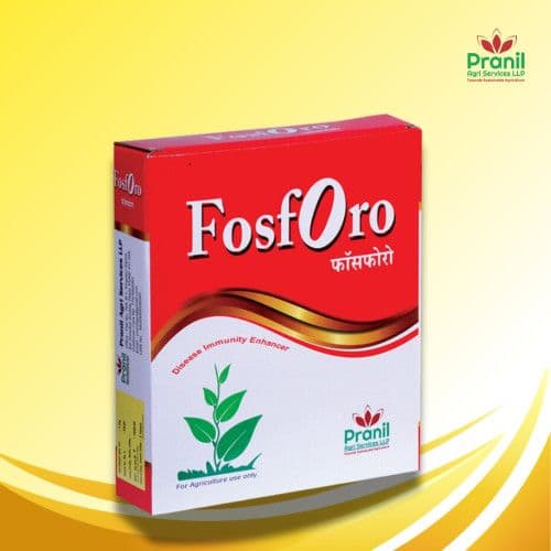 Buy FOSFORO - 1 KG Online - Quality Agricultural Products FOSFORO - 1 KG - Pesticides | MahaAgri.AI