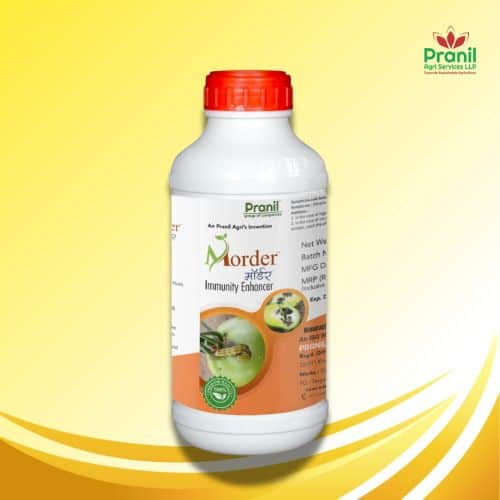 MORDER -250 ML by PRANIL AGRI SERVICES LLP MORDER -250 ML - Buy Pesticides Online in India at MahaAgri